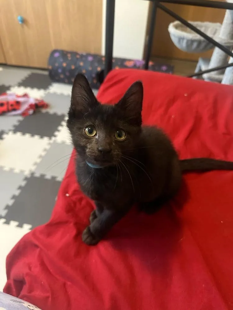 Proposal thumbnail 3