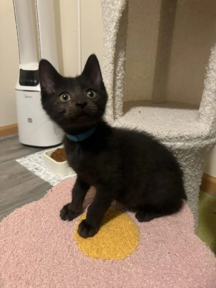 Proposal thumbnail 6