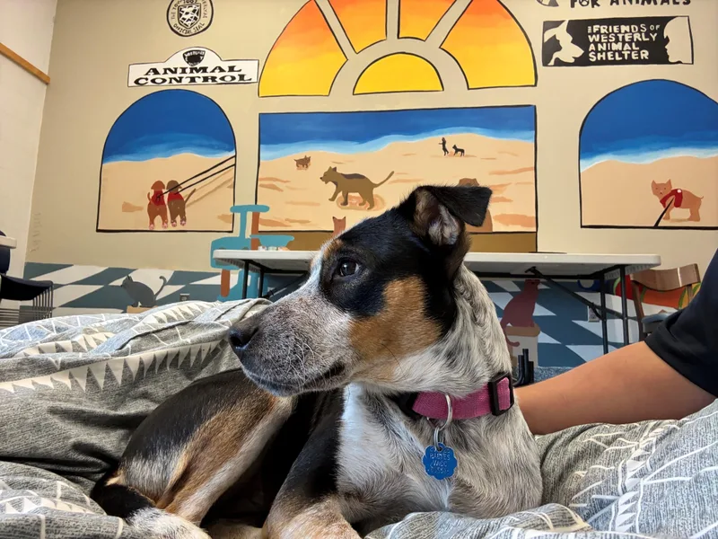 Millie  I Got thumbnail 2