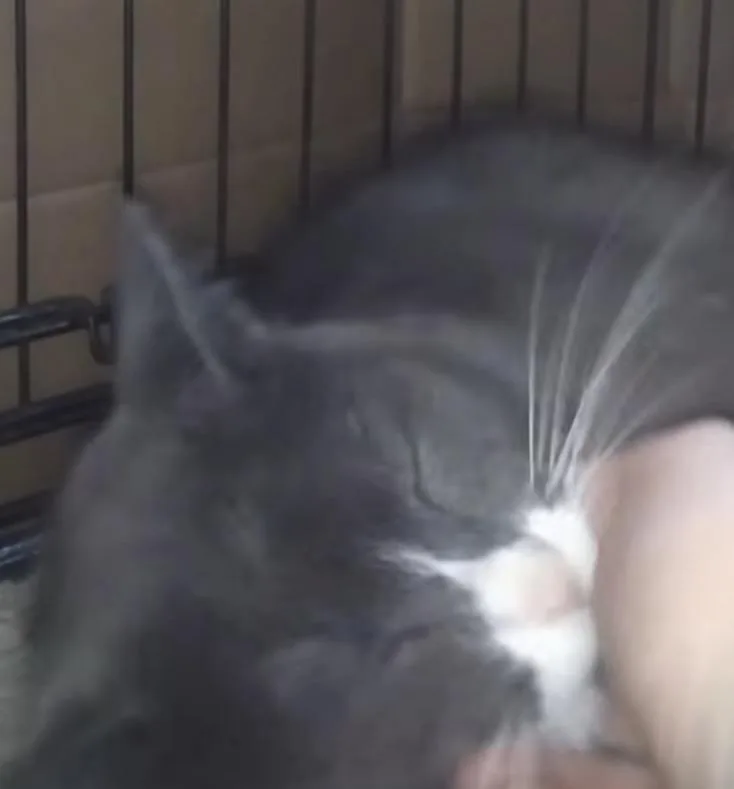Gary thumbnail 4