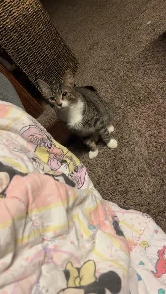 Oliver