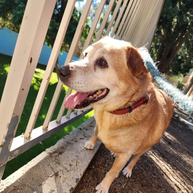 Rusty City Of Industry