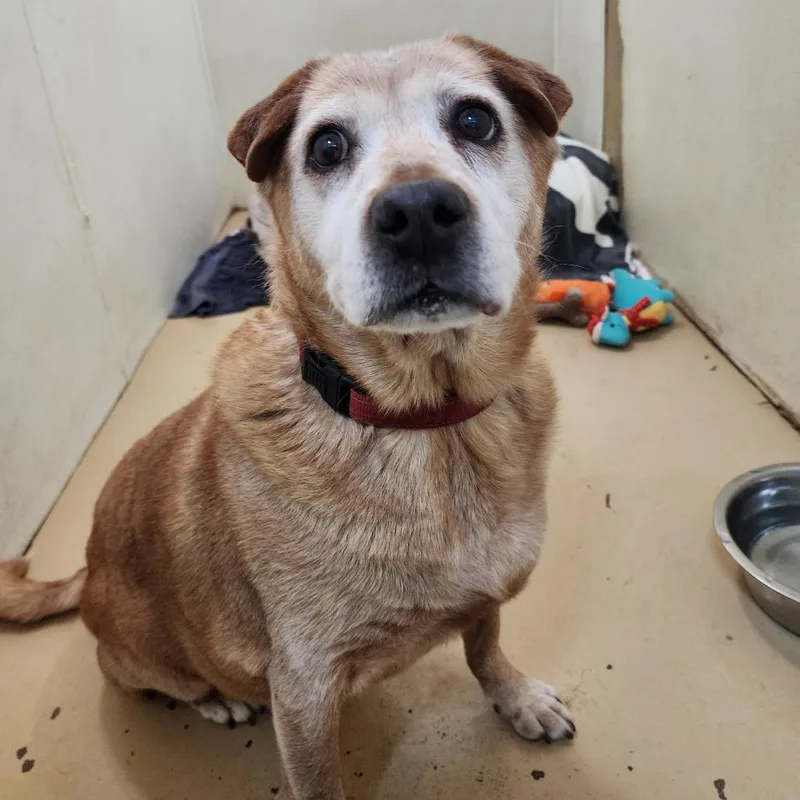 Rusty City Of Industry thumbnail 3