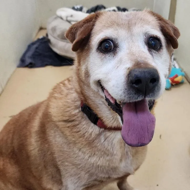 Rusty City Of Industry thumbnail 4