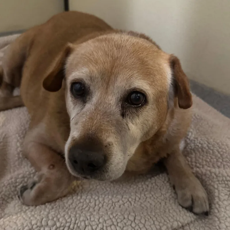 Rusty City Of Industry thumbnail 6