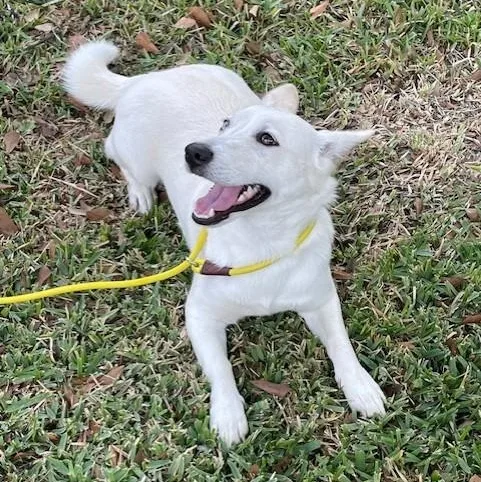 Piper  Beautiful Eyes thumbnail 4