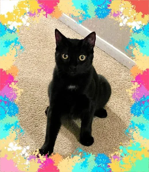 Mercedes thumbnail 2