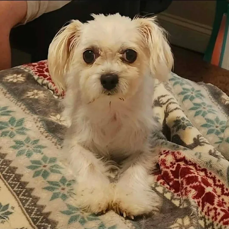 Fiona