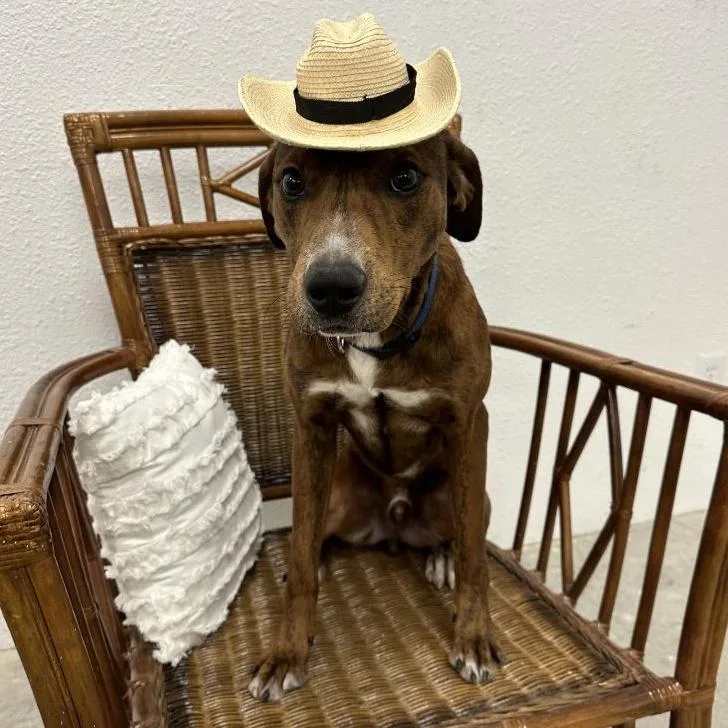 Mytai Gdp thumbnail 2