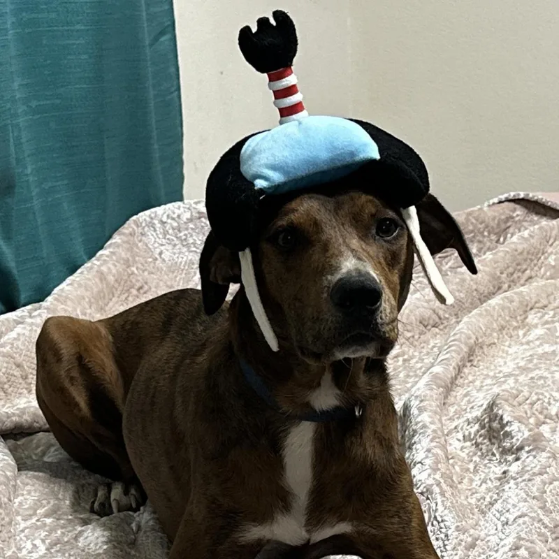 Mytai Gdp thumbnail 3