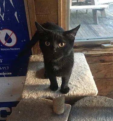 Cheri Bonded With Blossom thumbnail 3