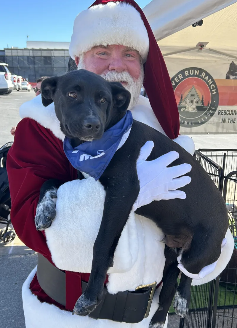 Mesquite thumbnail 2