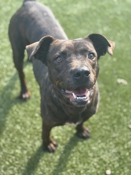 Patagonia thumbnail 2