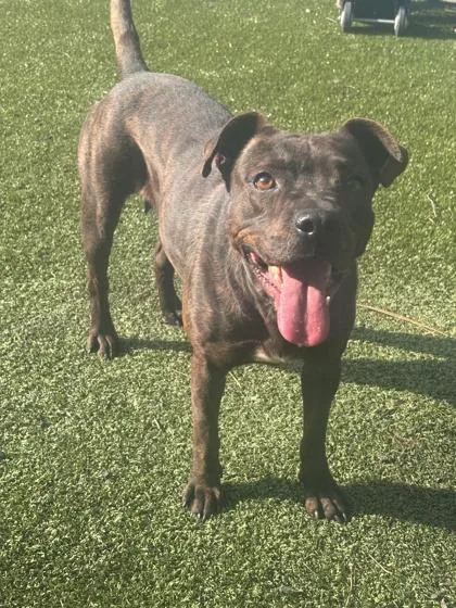 Patagonia thumbnail 3