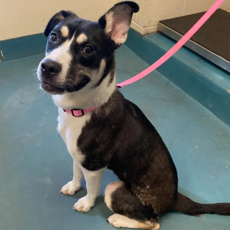 Lilly Snow thumbnail 2