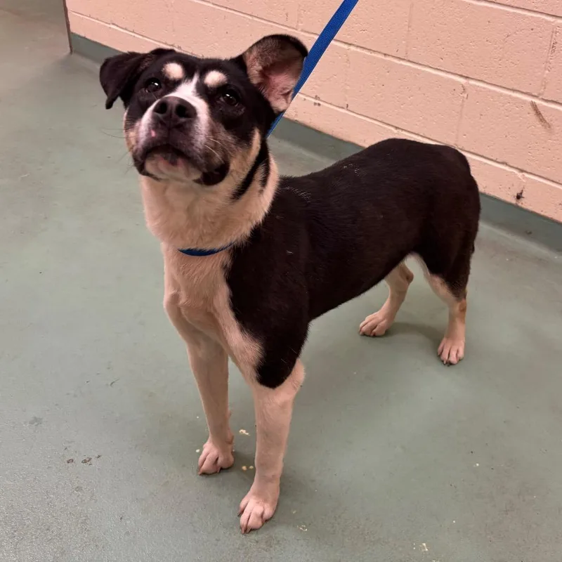 Lilly Snow thumbnail 4