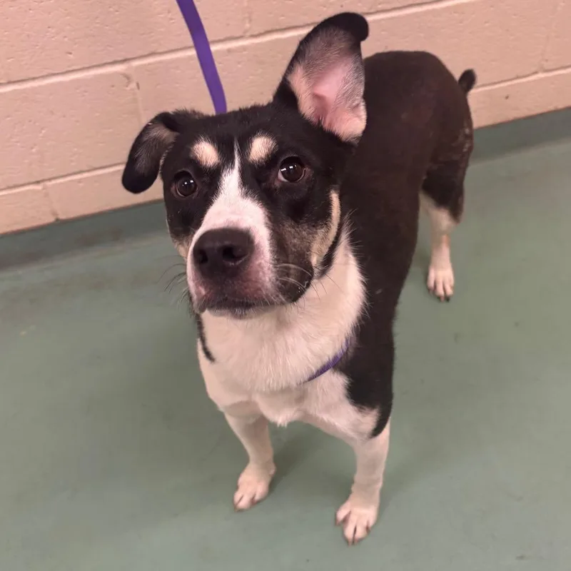 Lilly Snow thumbnail 6