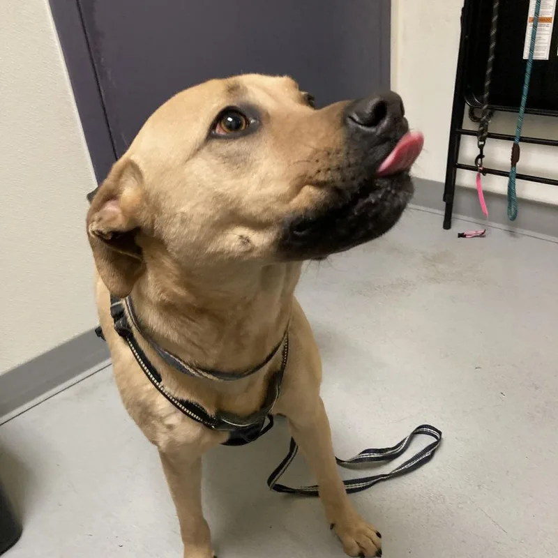 Han Yang thumbnail 3