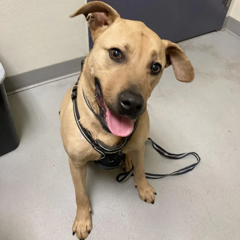 Han Yang thumbnail 4