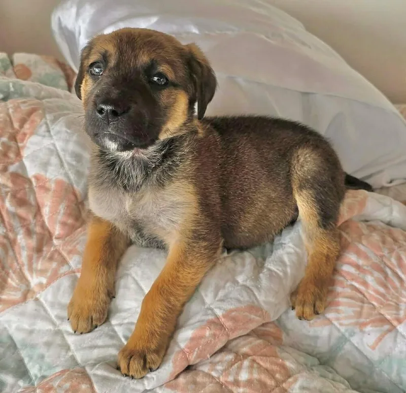 Nori Jayne thumbnail 2