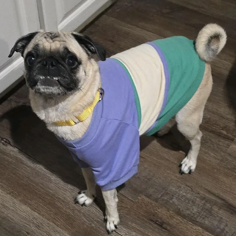 Lucy thumbnail 3
