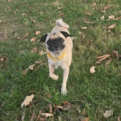 Lucy thumbnail 5