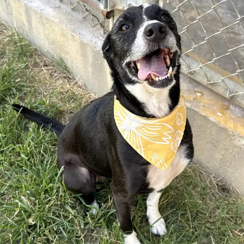 Goddess thumbnail 4