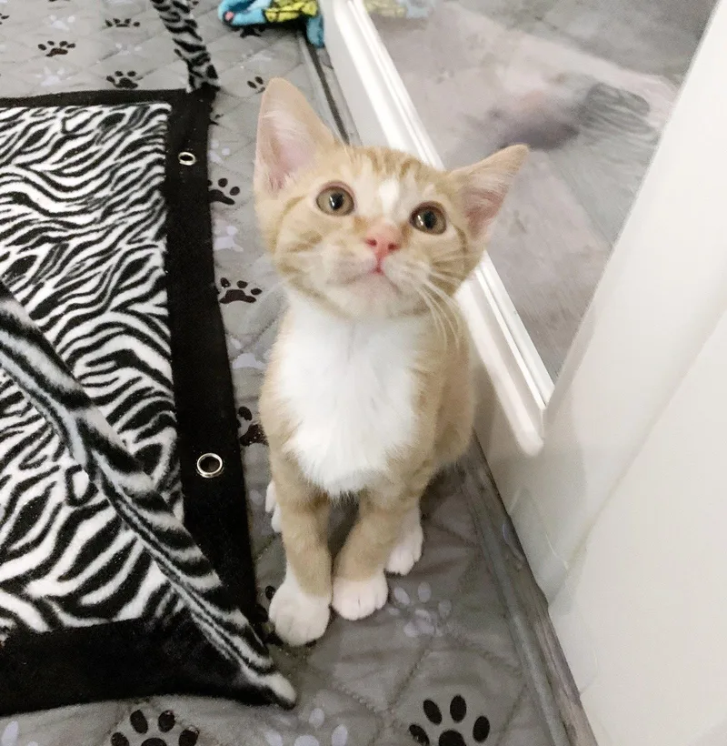 Tigger thumbnail 3