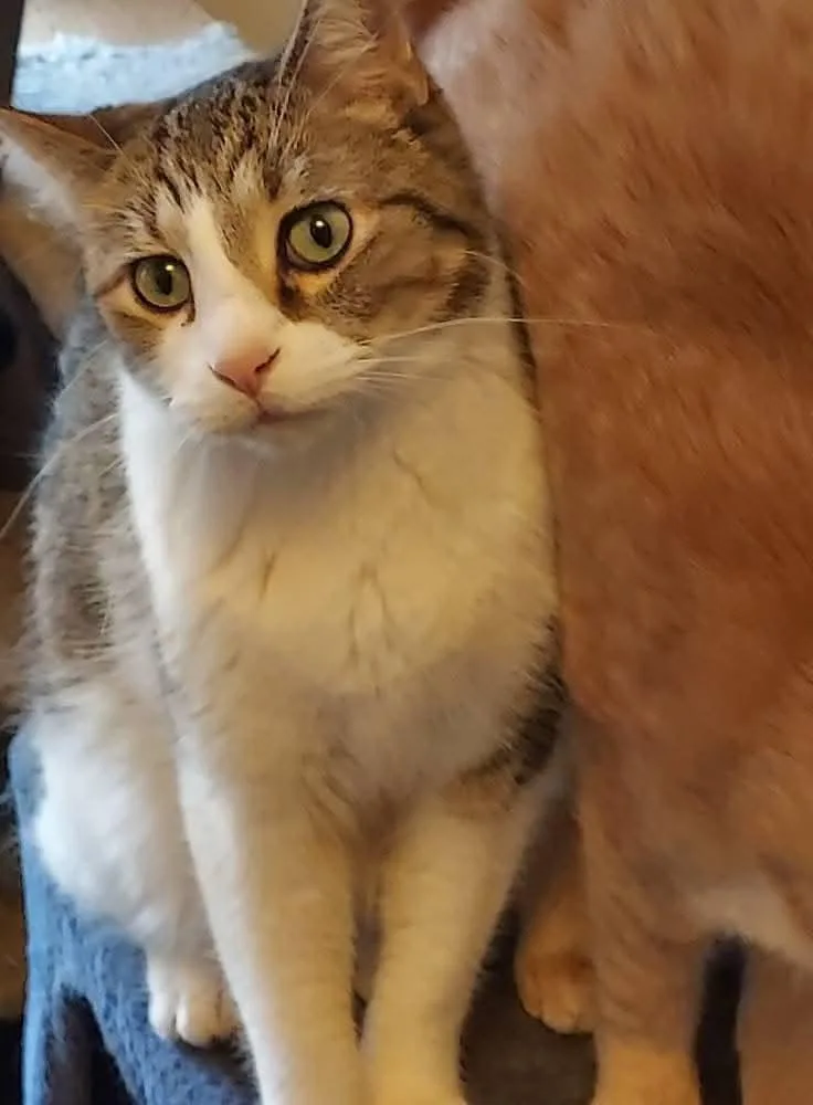 Channing thumbnail 2