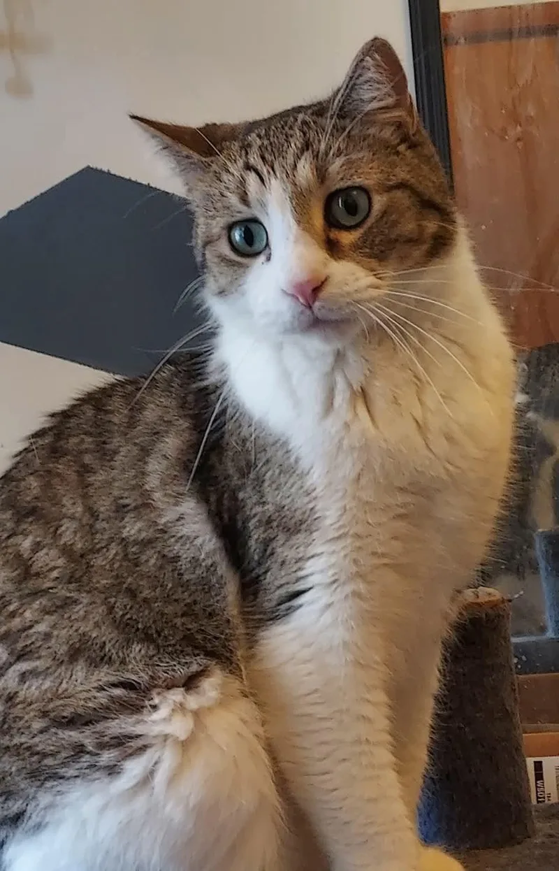 Channing thumbnail 3