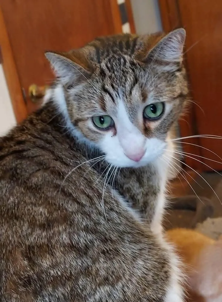 Channing thumbnail 4