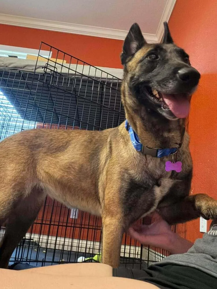 Velma Located In Texas