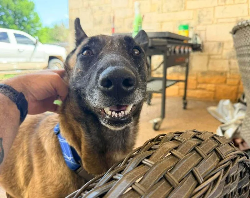 Velma Located In Texas thumbnail 2