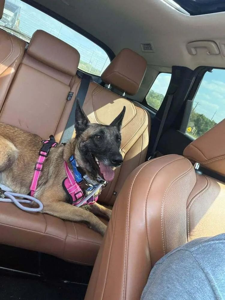 Velma Located In Texas thumbnail 4