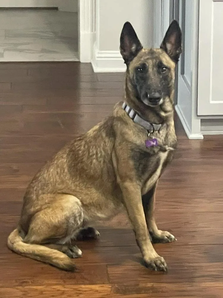 Velma Located In Texas thumbnail 6