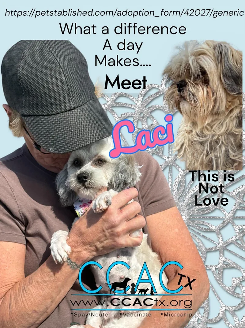 Laci Is Luxury And thumbnail 2