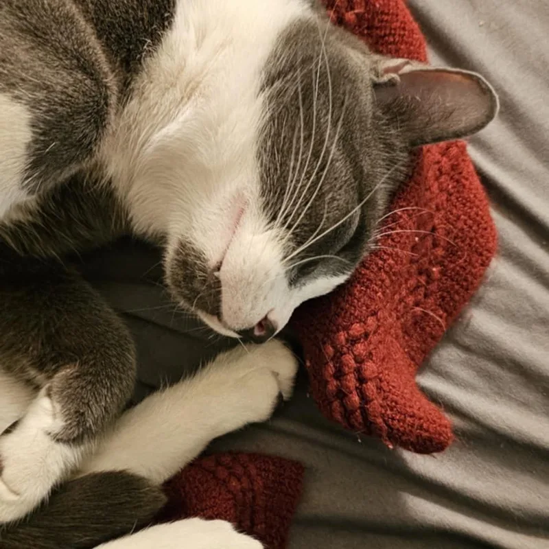 Marcario Aka Maui thumbnail 3