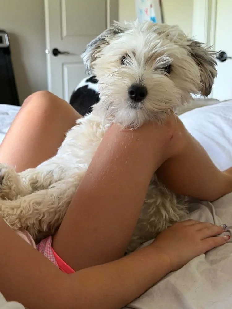 Rosie thumbnail 5