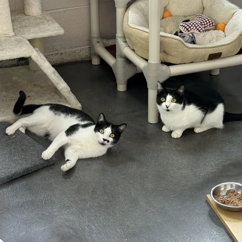 Kate & Sophie thumbnail 2