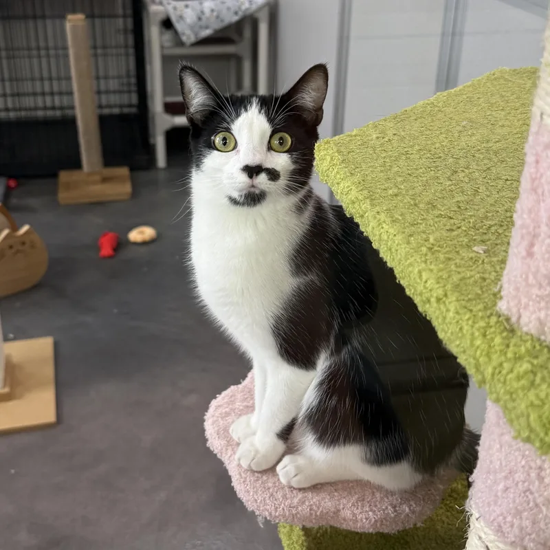 Kate & Sophie thumbnail 3