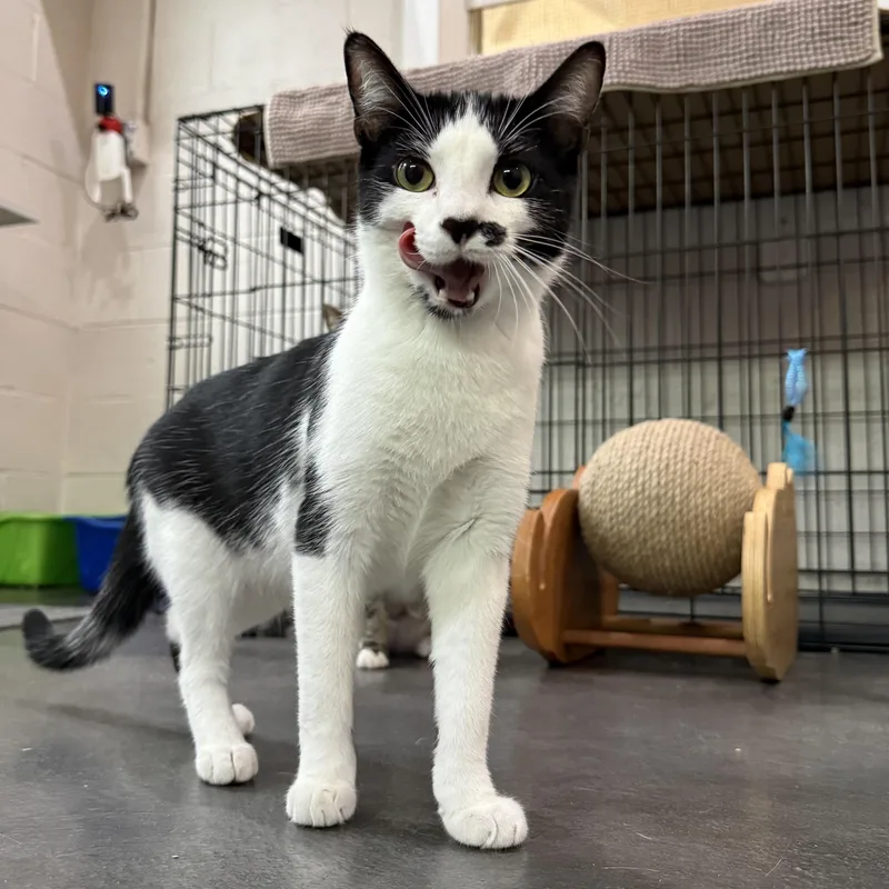 Kate & Sophie thumbnail 4