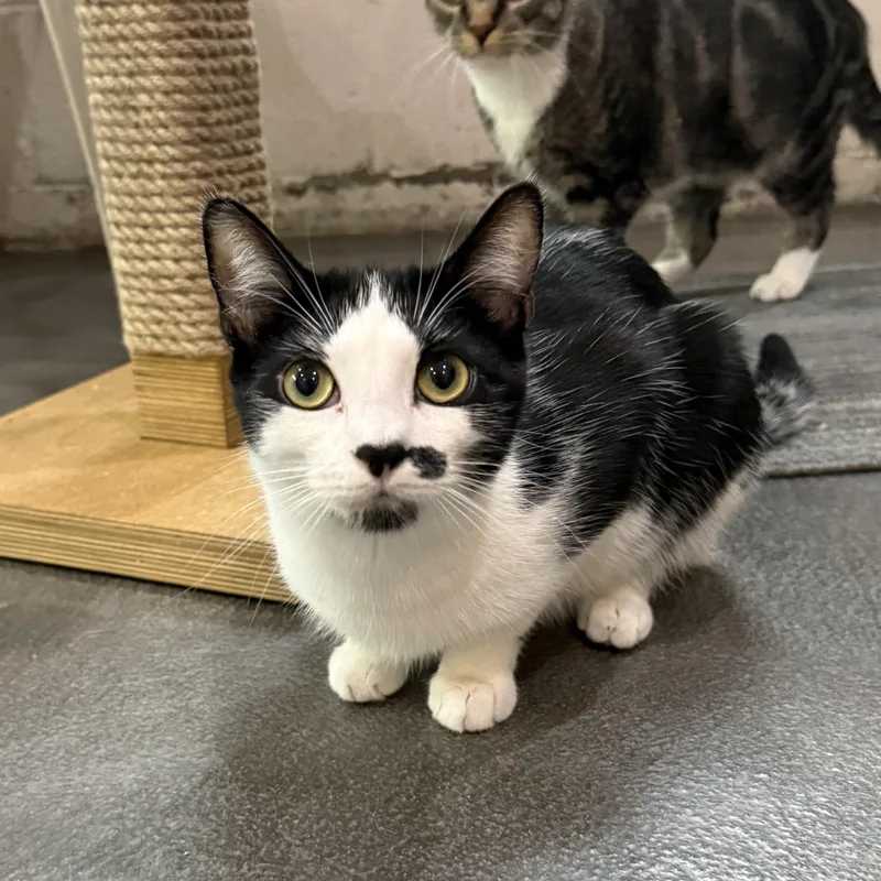 Kate & Sophie thumbnail 5