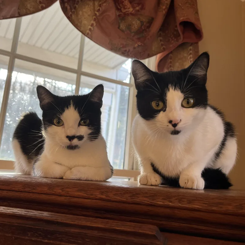 Kate & Sophie thumbnail 6