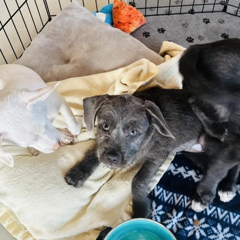 Ingrid Costa Mesa Location