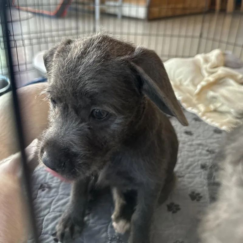 Ingrid Costa Mesa Location thumbnail 2