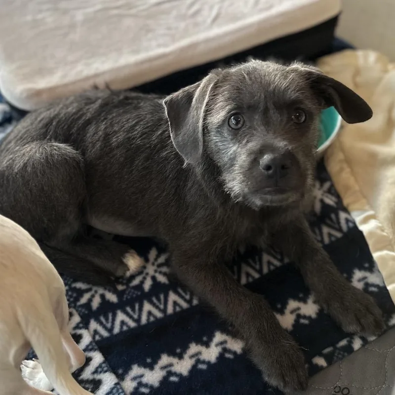 Ingrid Costa Mesa Location thumbnail 3