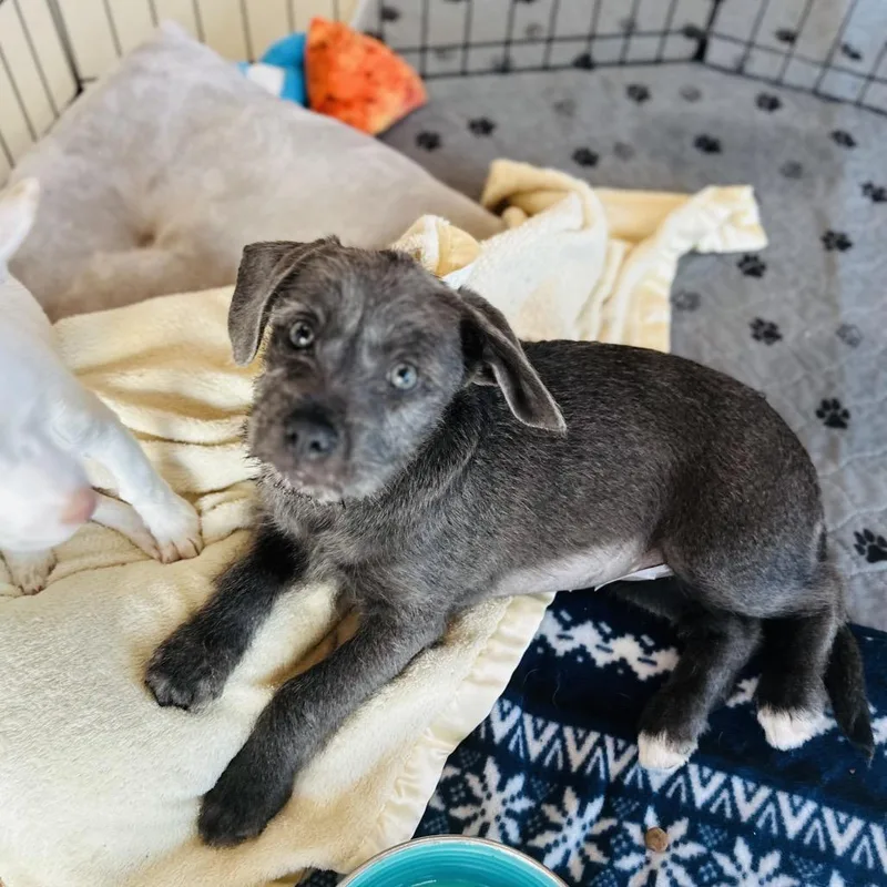 Ingrid Costa Mesa Location thumbnail 4