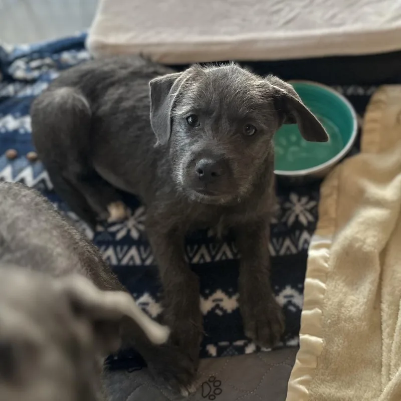 Ingrid Costa Mesa Location thumbnail 6