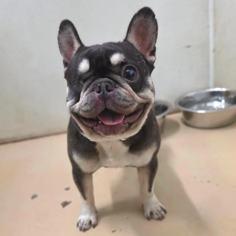 Roxy  Chino Hills thumbnail 3