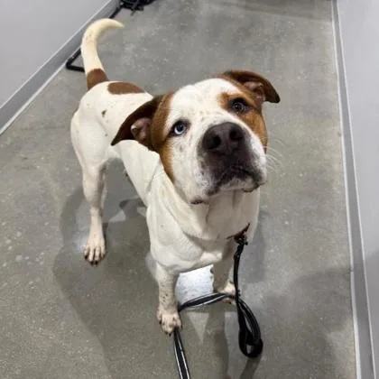 Churchill thumbnail 2